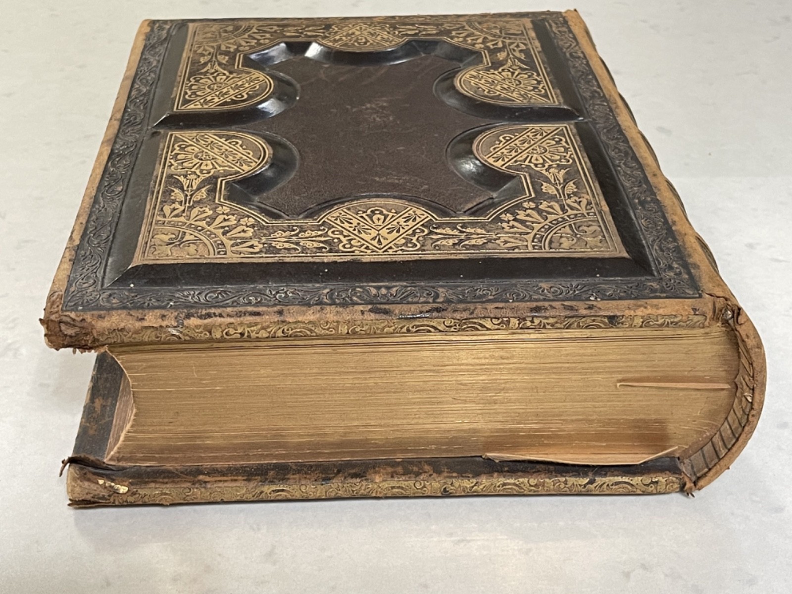 HOLY BIBLE CONTAINING THE OLD AND NEW TESTAMENTS 1880 A. J. Holman & Co.
