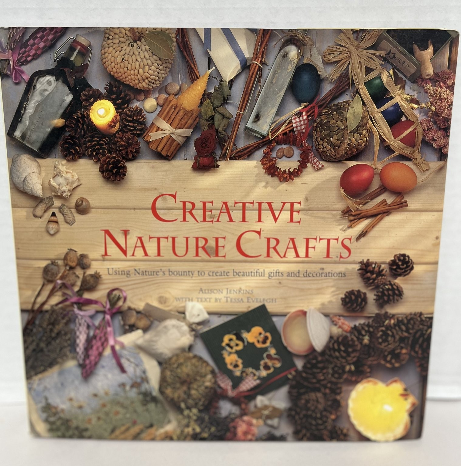Creative Nature Crafts Alison Jenkins DIY Projects Illustrated Book