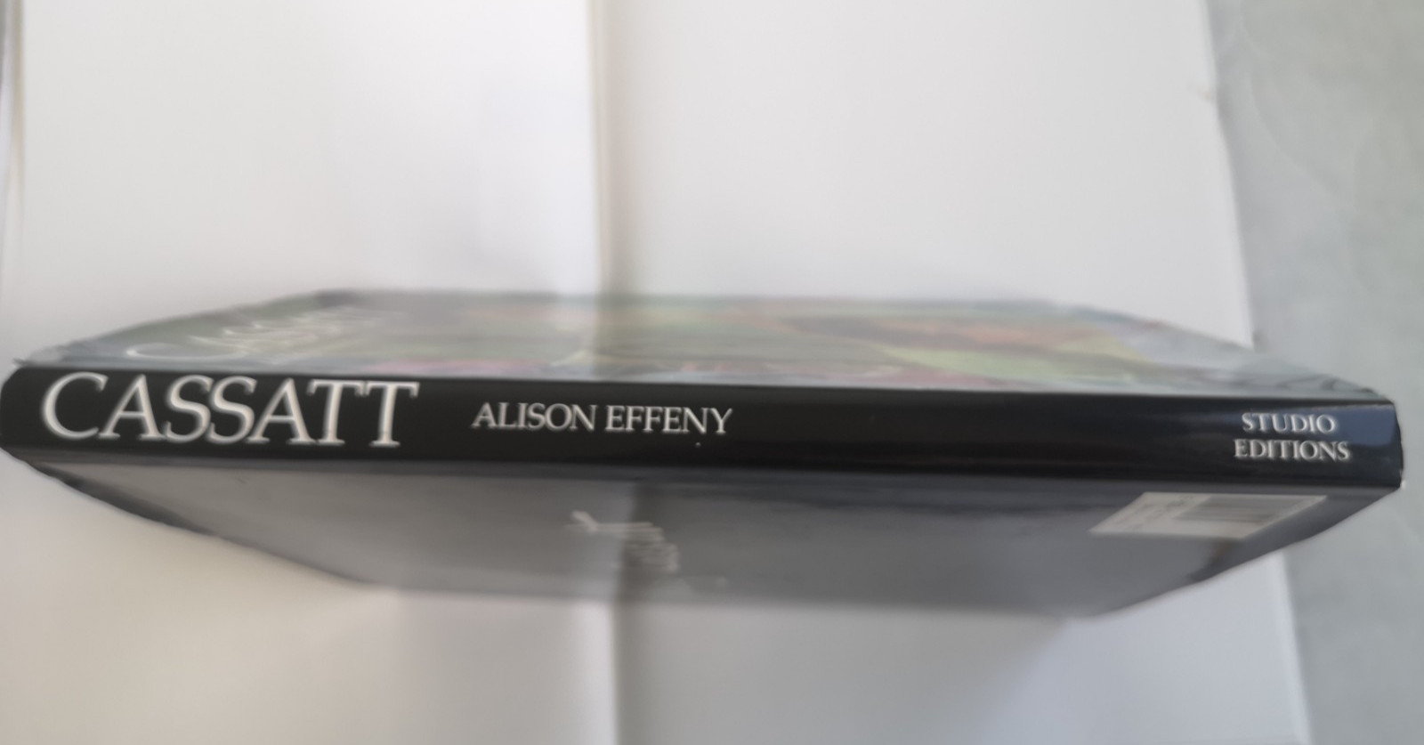 Cassatt – Alison Effeny – Hardback with Dust Jacket – 1993