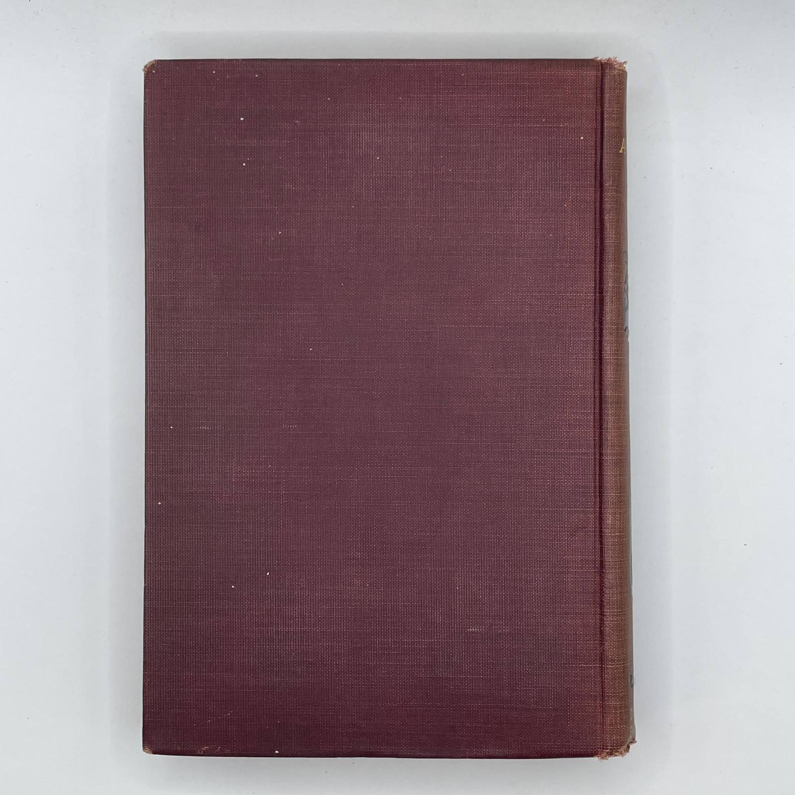 Wing & Wing (Feu-Follet) c1900 Fenimore Cooper Art Nouveau HC Donohue Brothers