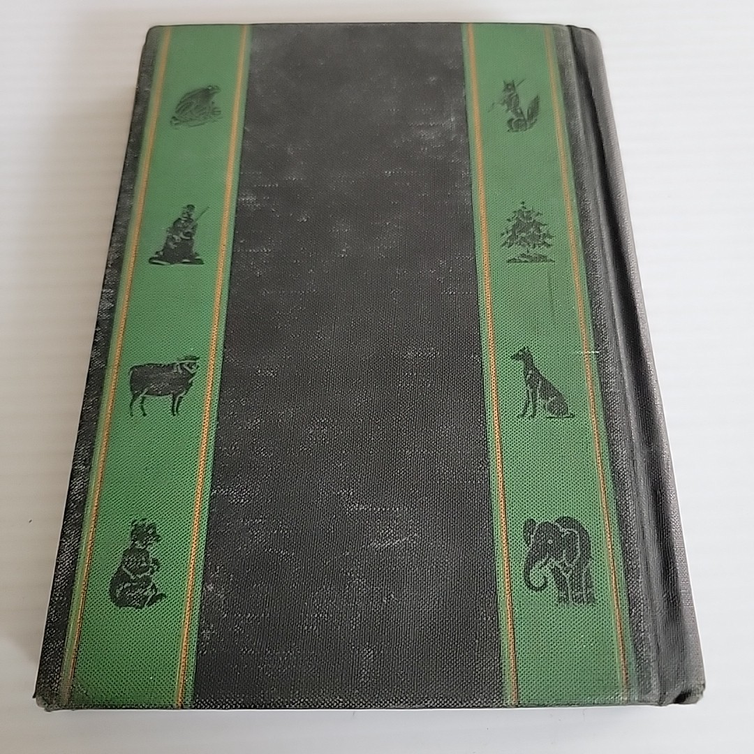 Elson-Gray Basic Reader Book 3 Curriculum Foundation Series 1931 Scott Foresman