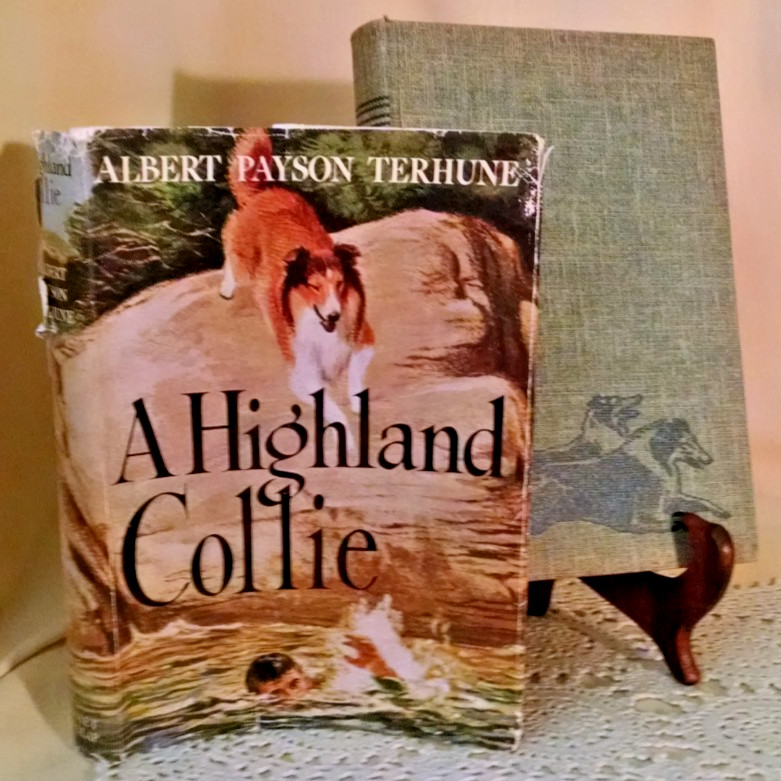 A Highland Collie by Albert Payson Terhune HC/DJ Grosset Dunlap 1927 Luck Laird.