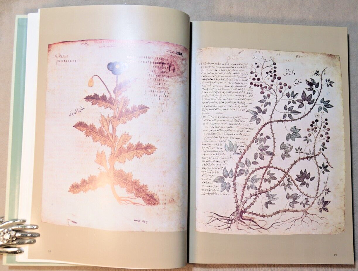 ILLUSTRATED HERBAL by Blunt 1979 First Ed HC/DJ HERBALISM Superstition Medicinal