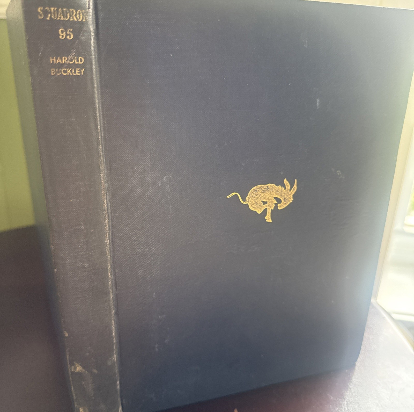 1933 SQUADRON 95 Harold Buckley First American Flying Squadron WWI Illus. 1st Ed