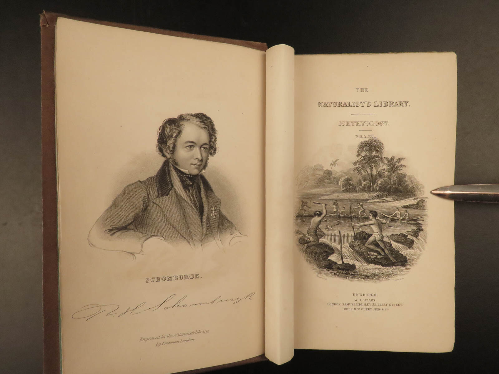 1841 Jardine Naturalist FISH Piranha Salmon Carp Dorsa Ichthyology Africa Guiana