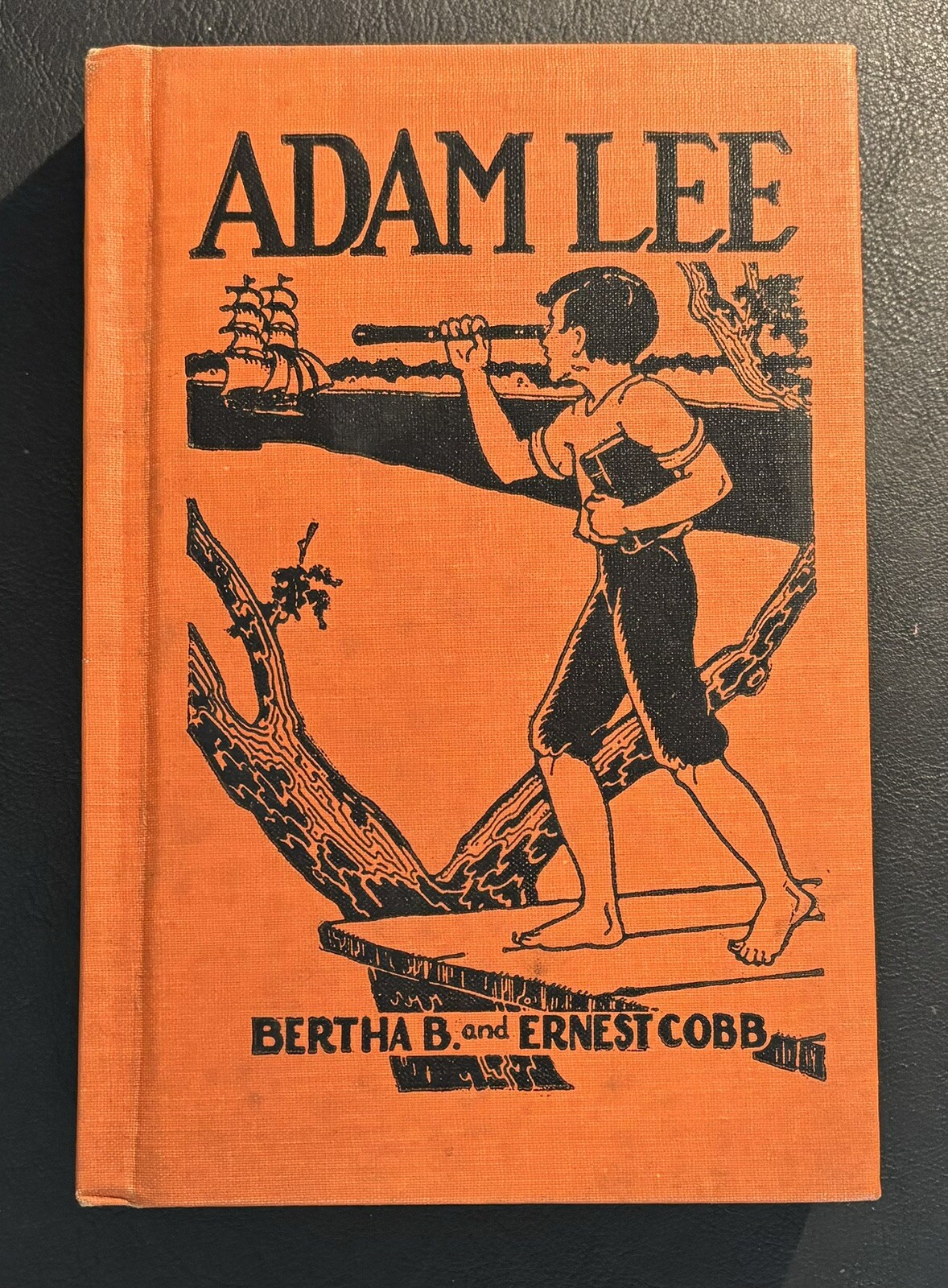 Adam Lee 1938 Hardback Book by Bertha B. and Ernest Cobb Arlo Publishing Co