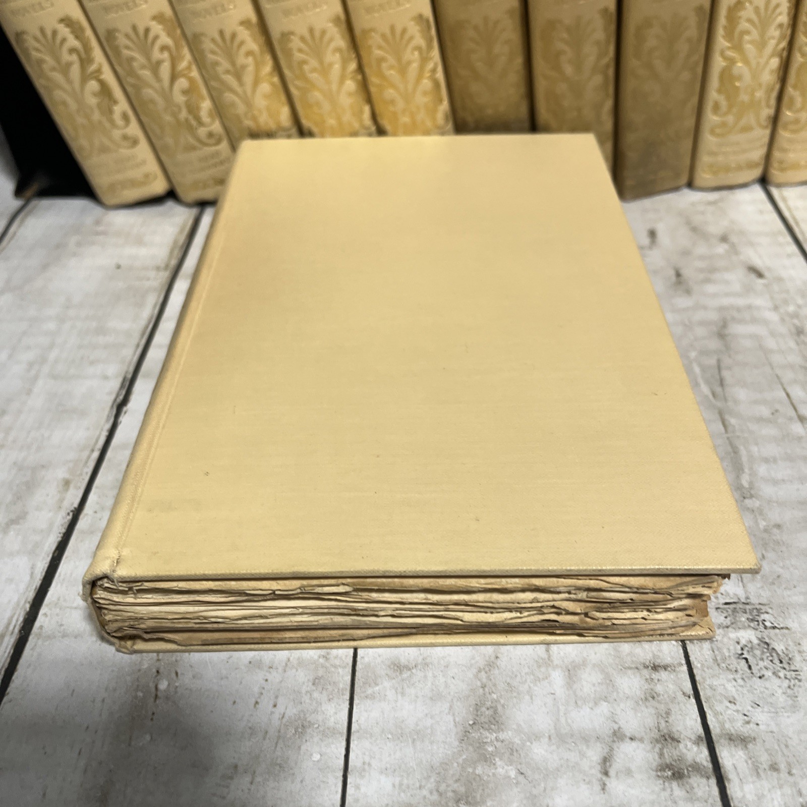 Antique 1893 – Lot Of 12- THE PARLIAMENTARY NOVELS BY Anthony Trollope – Decor