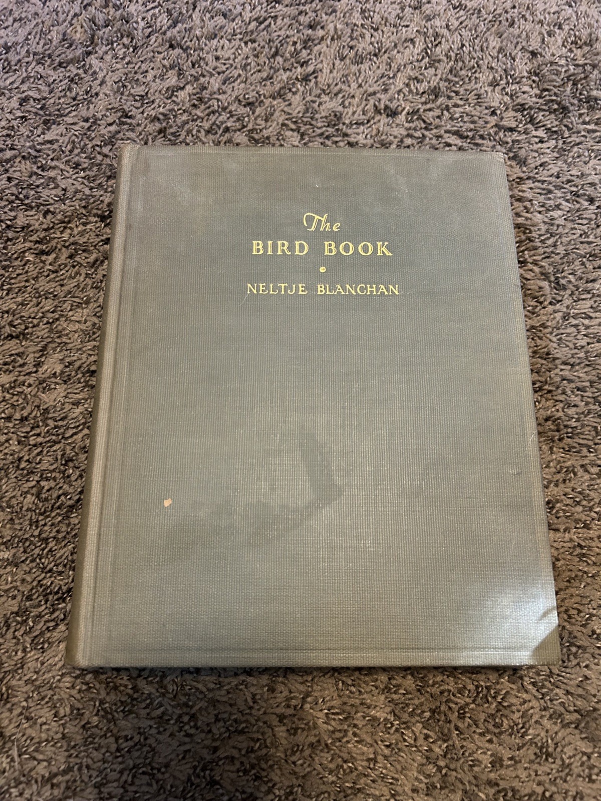 The Bird Book, 1932 Neltje Blanchan 1st Edition Rare Hardcover Book