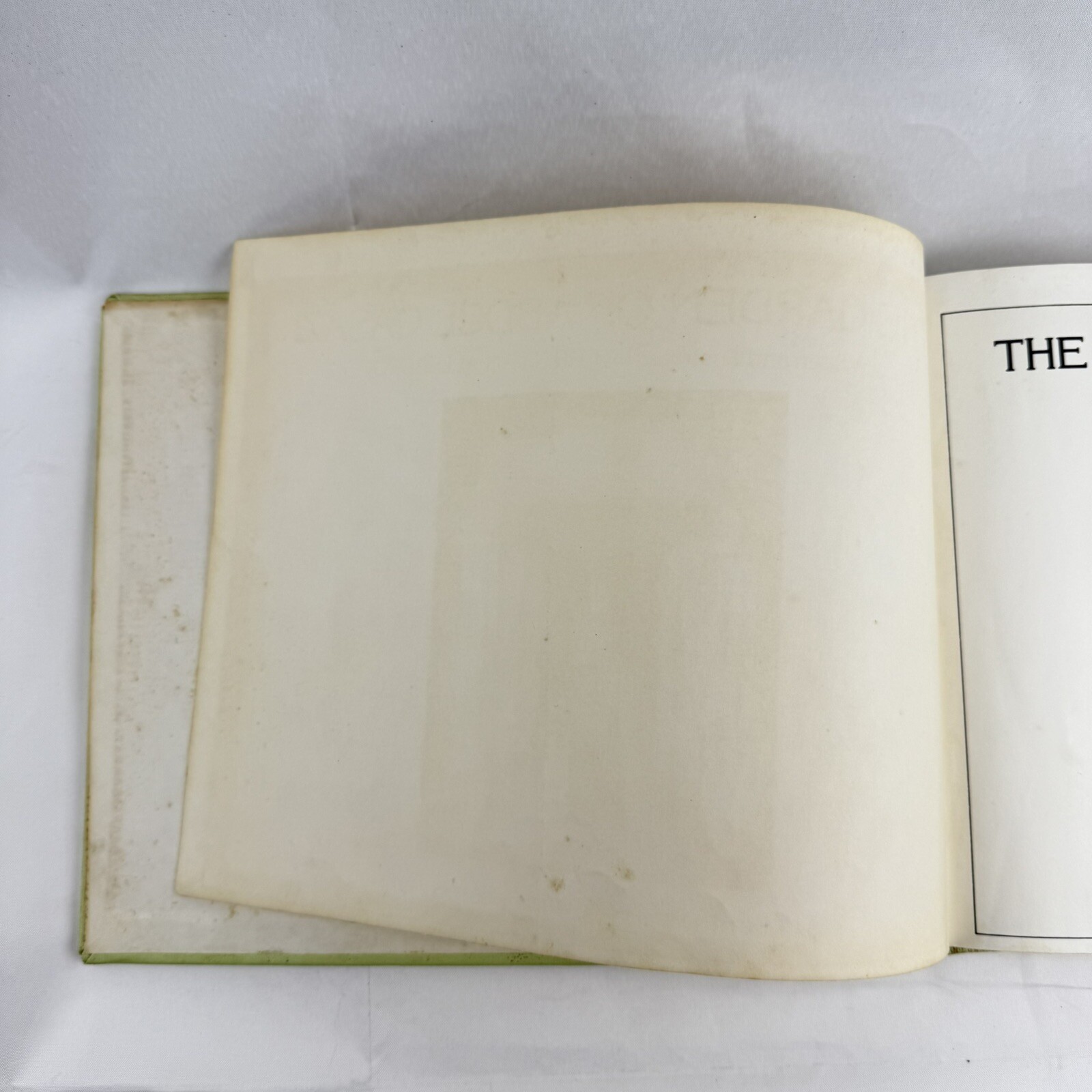 The Garden of Abdul Gasazi 1979 First Edition Chris Van Allsburg
