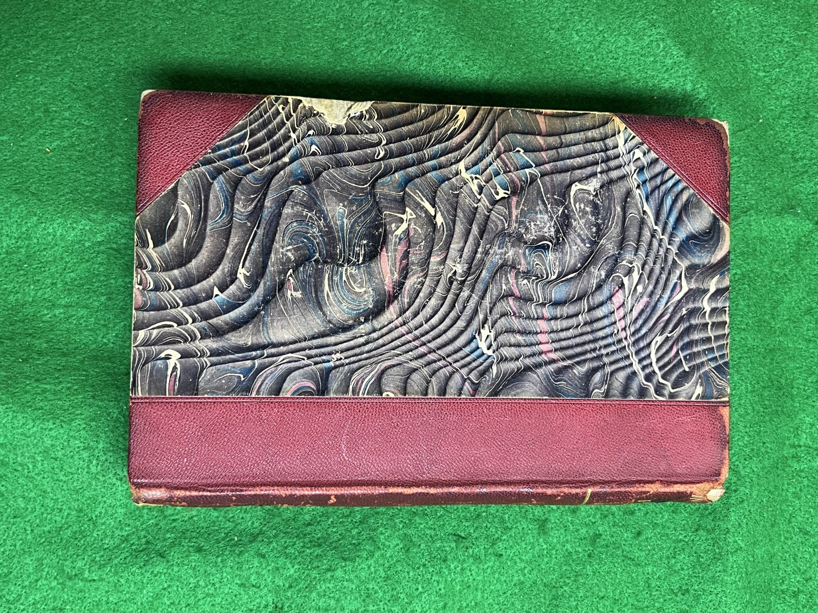 CHARLES DARWIN: INSECTIVOROUS PLANTS, 1896 Appleton Authorized Edition