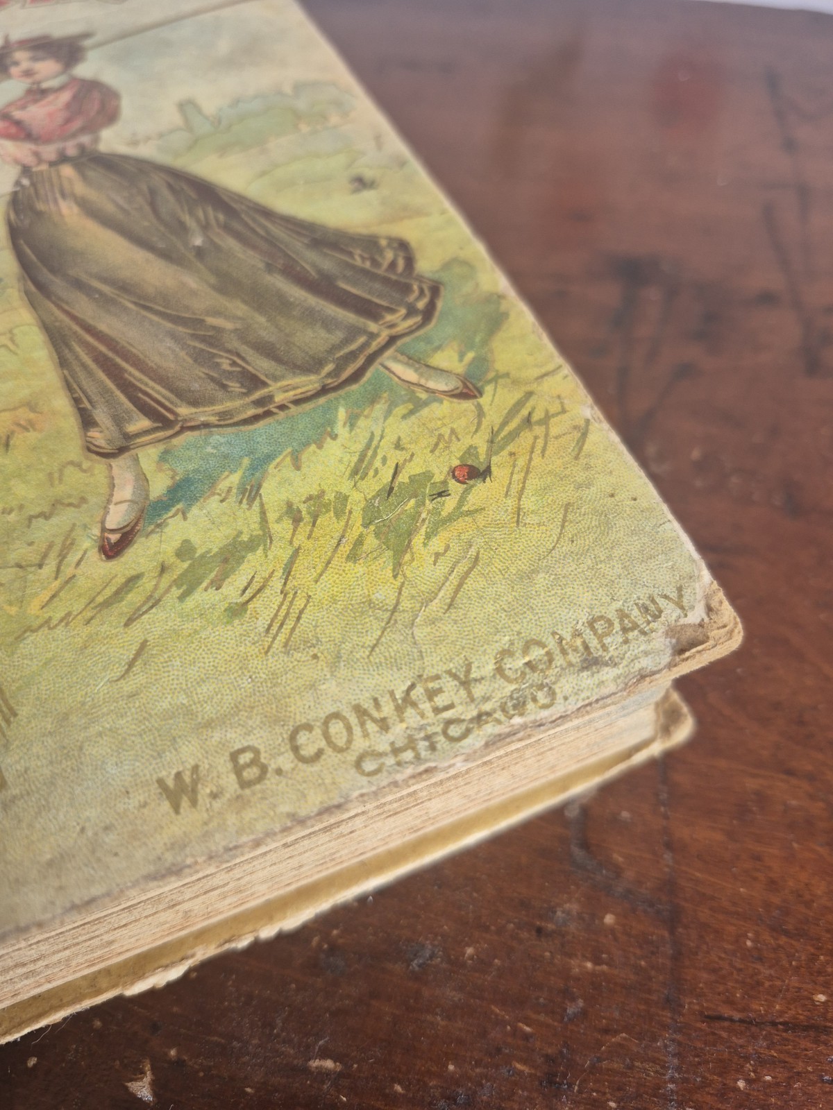 1899 Victorian Family Reader (Exceptional Illustrations) Outdoor Games WBConkey