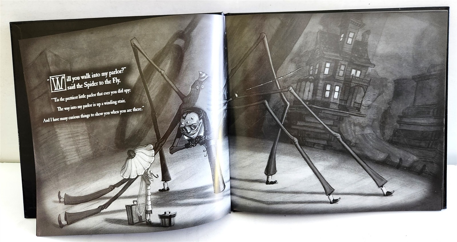 2002 signed by author THE SPIDER & FLY tony diterlizzi 1st Ed print dustjacket