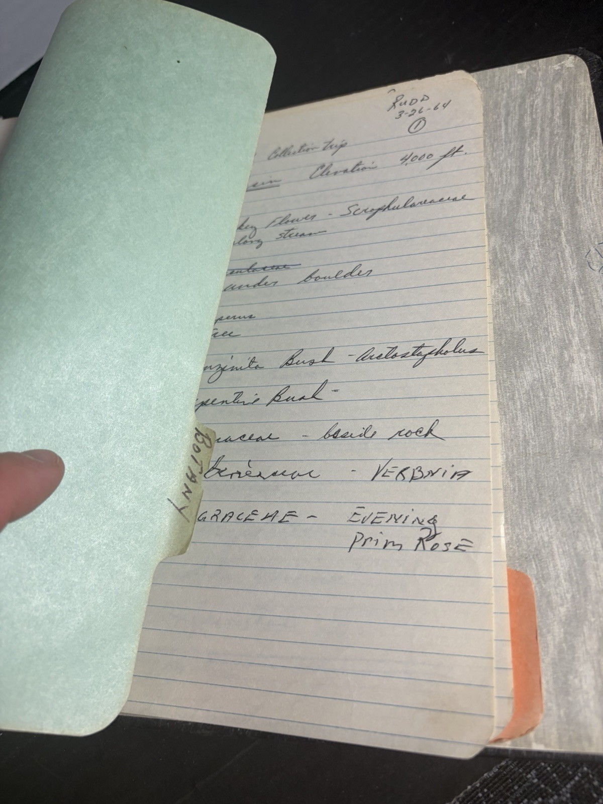 1963 Wildlife Management Field Notes Binder Zoo 260 Arizona Manuscript