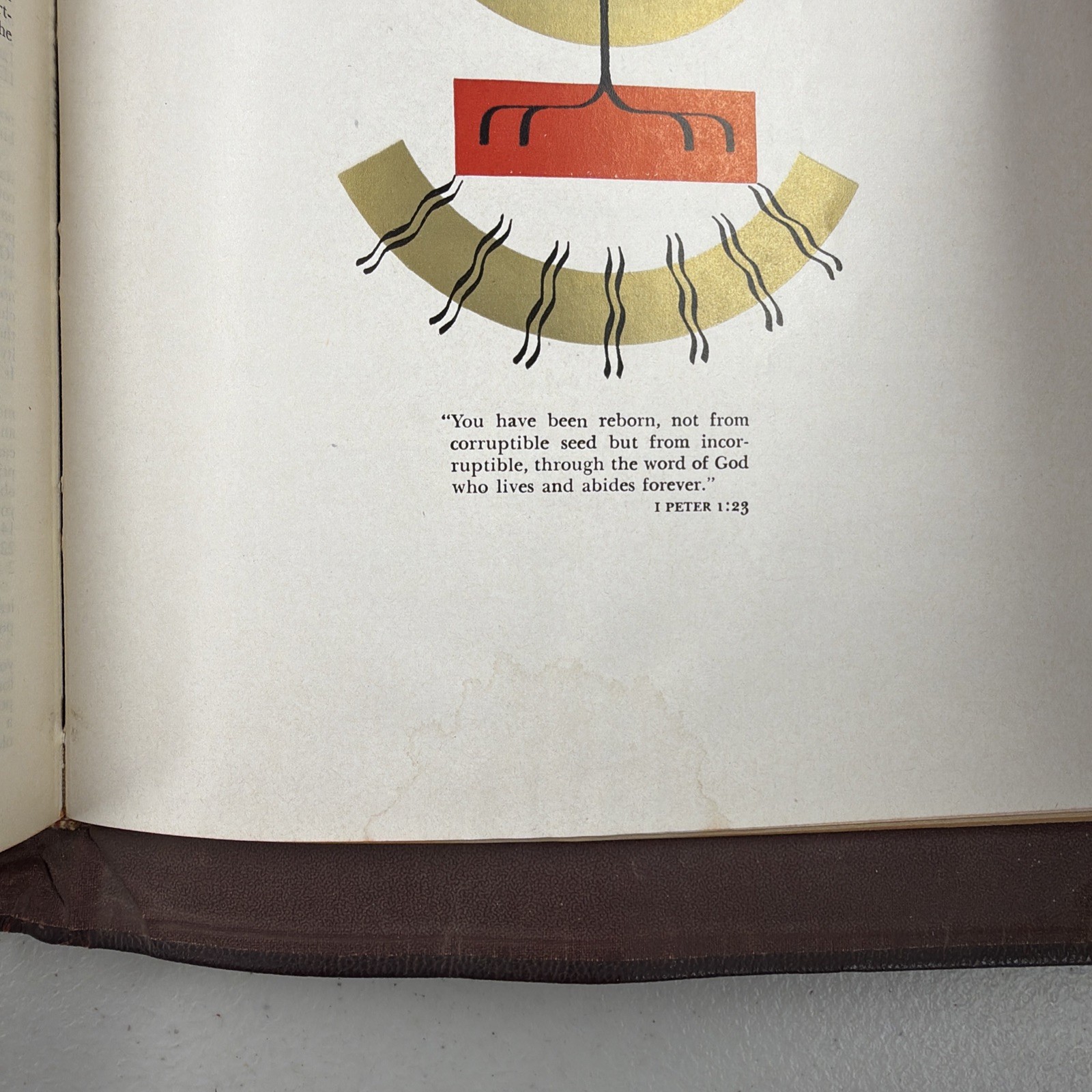 Holy Bible Holy Family Edition of the Catholic Bible 1950 – Not Personalized