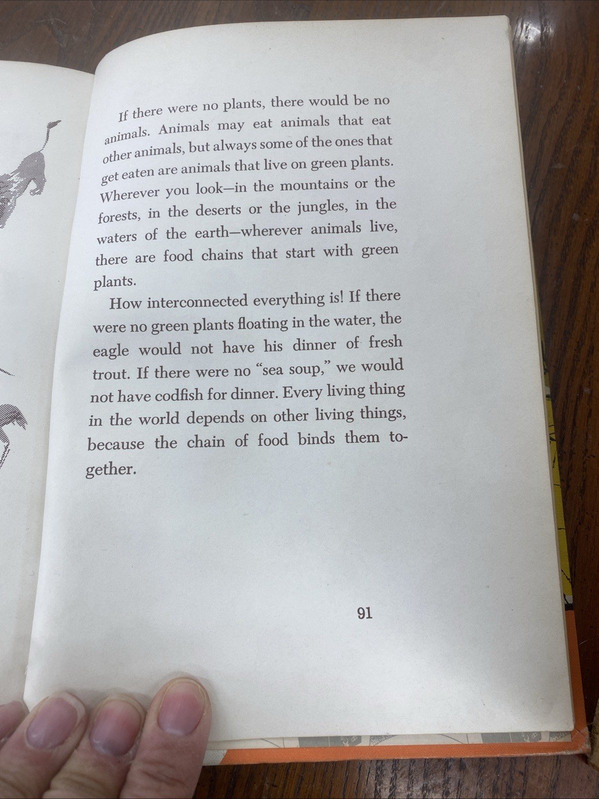 1950 School Library Book ‘How The Animals Eat’ by Millicent Selsam