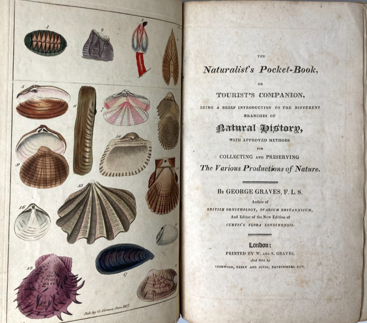 1817 Naturalist’s Pocket-Book Graves 1st Ed Darwin Manual Hand Colored Plates