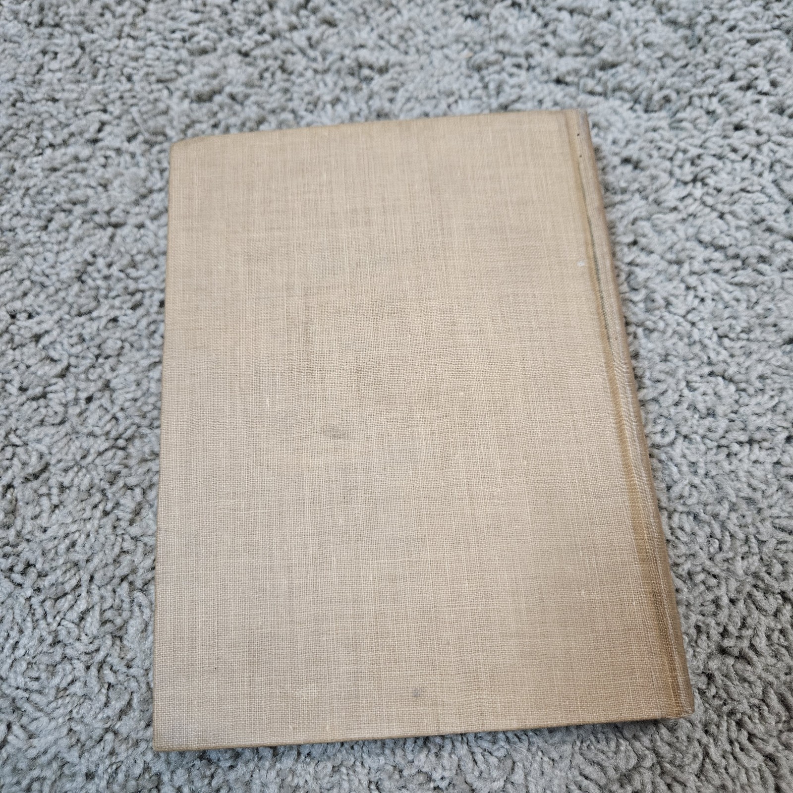 The Child’s World: Second Reader | Johnson Publishing Co 1920