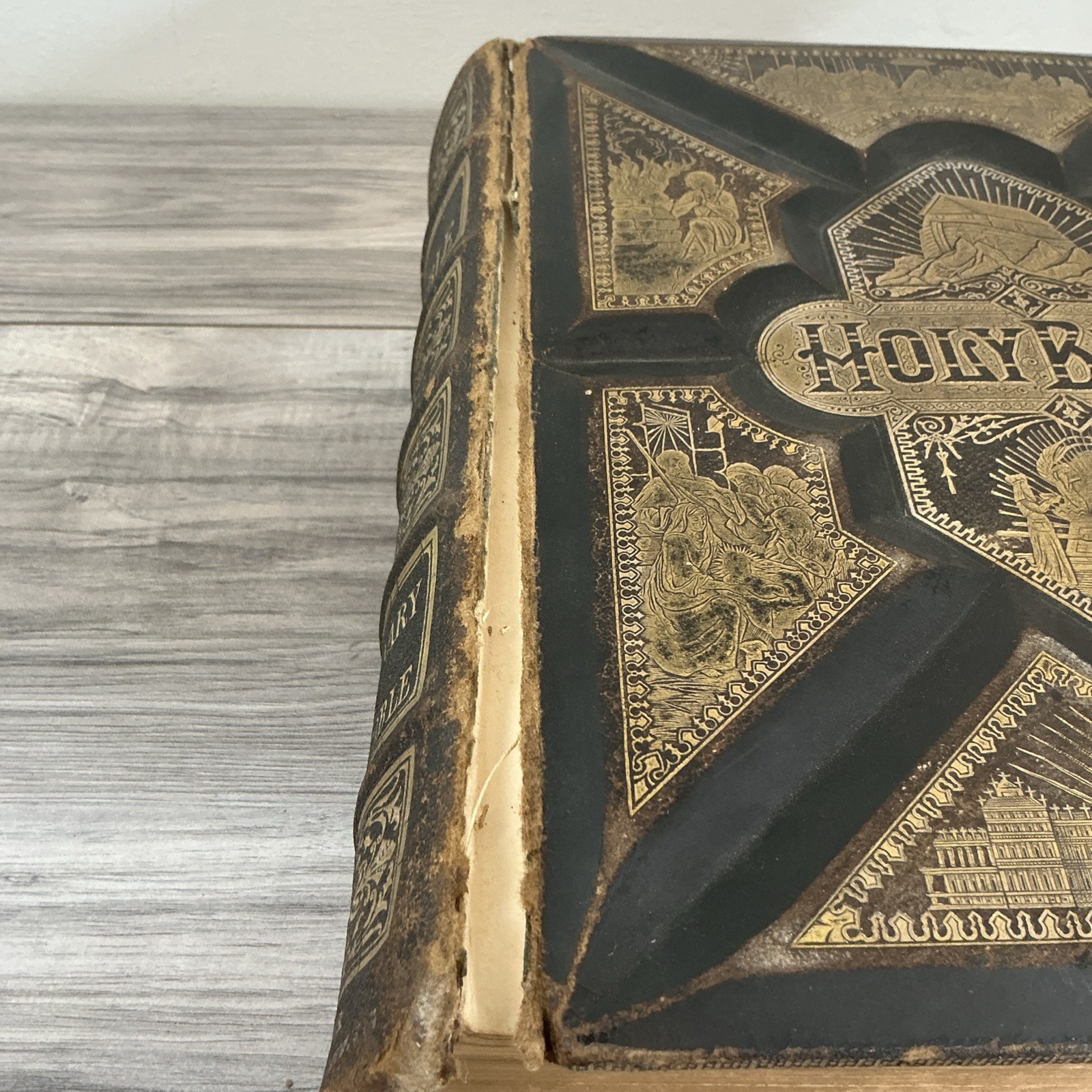 The Parallel Bible Old & New Testaments 2000 Illustrations 1885