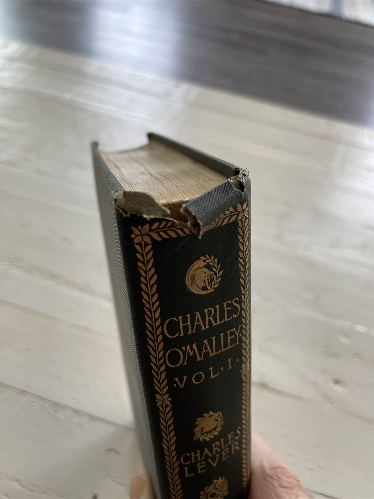 Charles O’Malley The Irish Dragoon Charles Lever 1901 HC 2 Vol Set Illustrated