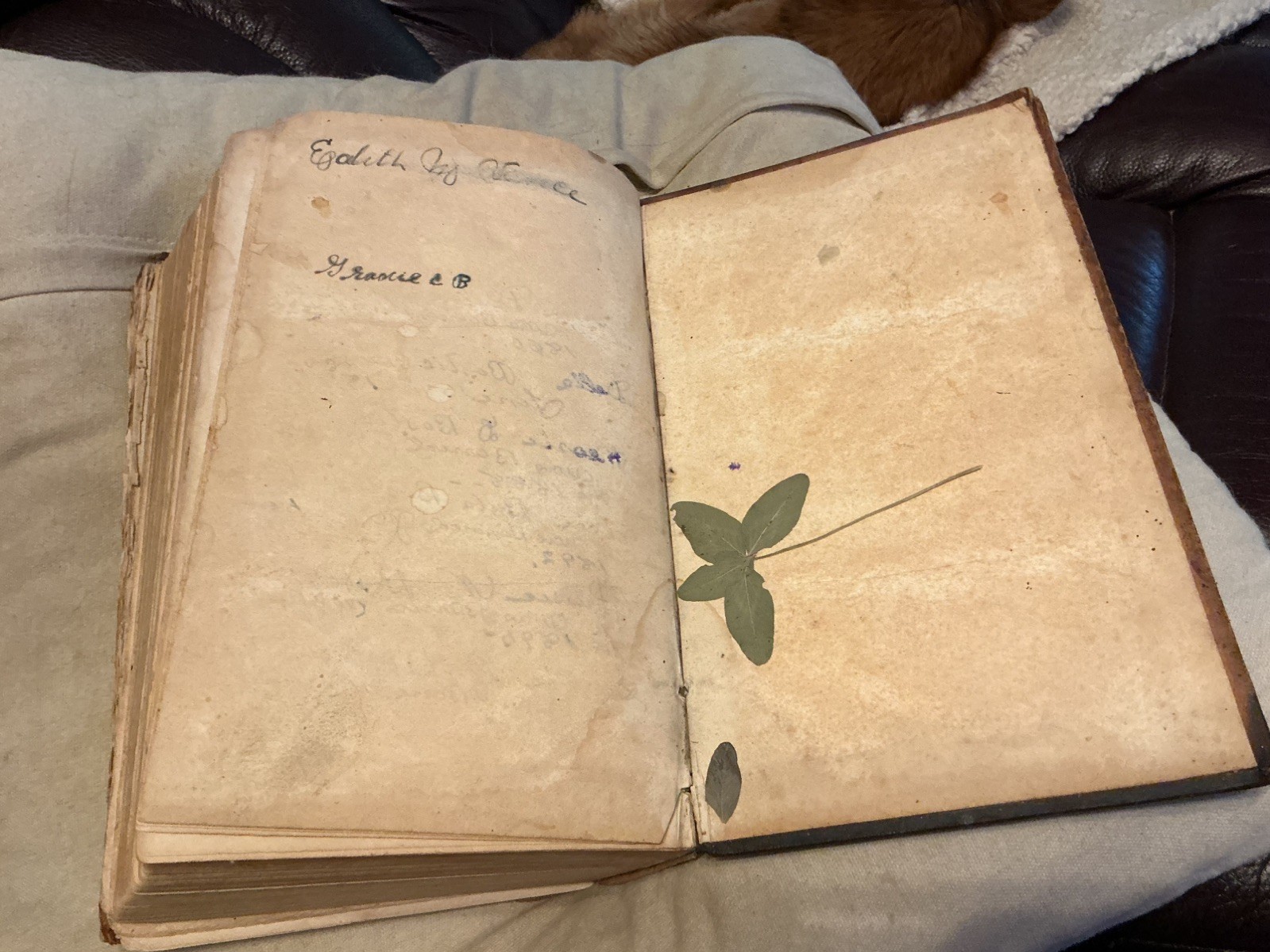 Early 1832 Scott’s Bible Monroe County WV Estate Bostic Family Genealogy History