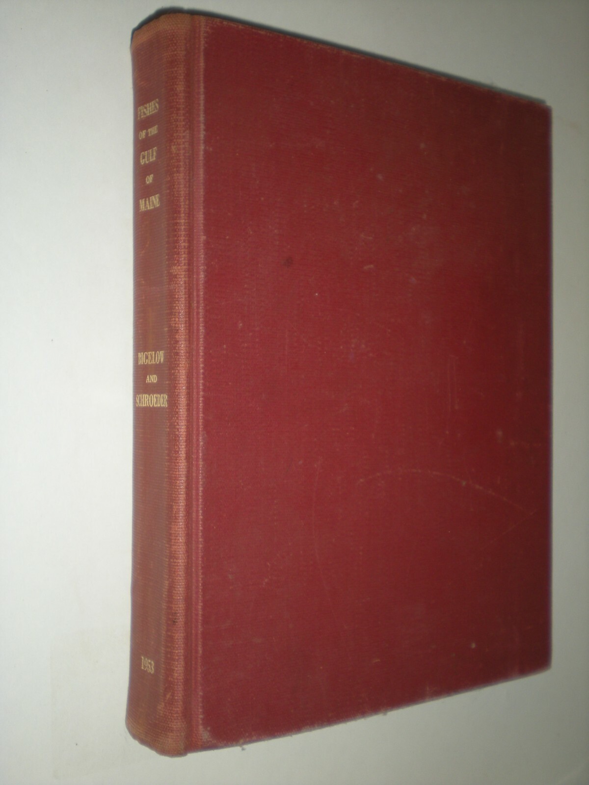 Fishes of the Gulf of Maine by Henry Bigelow Government Printing Office 1961 HB