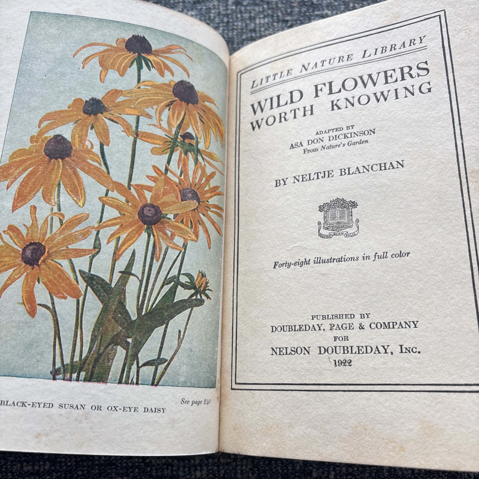 Little Nature Wild Flowers Worth Knowing 1ST Edition Neltje Blanchan 1922