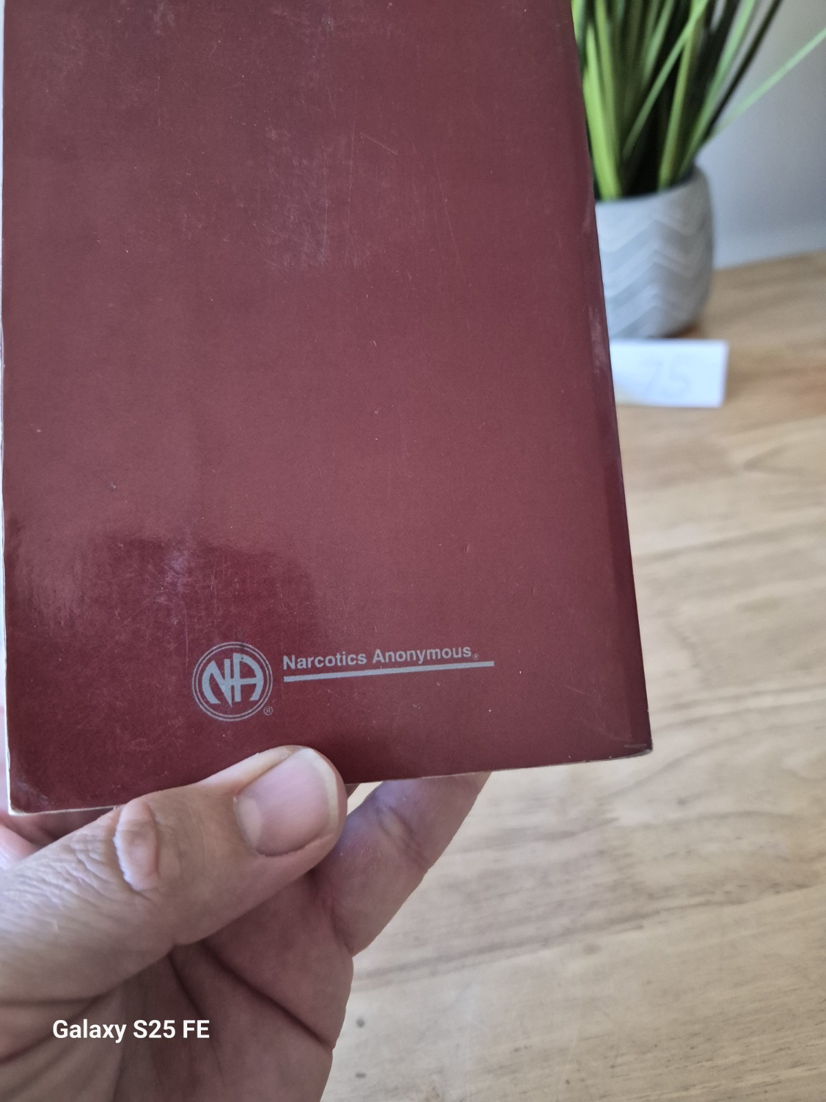 Narcotics Anonymous, Just For today, Sunset Cover 1992 WSO Edition Paperback
