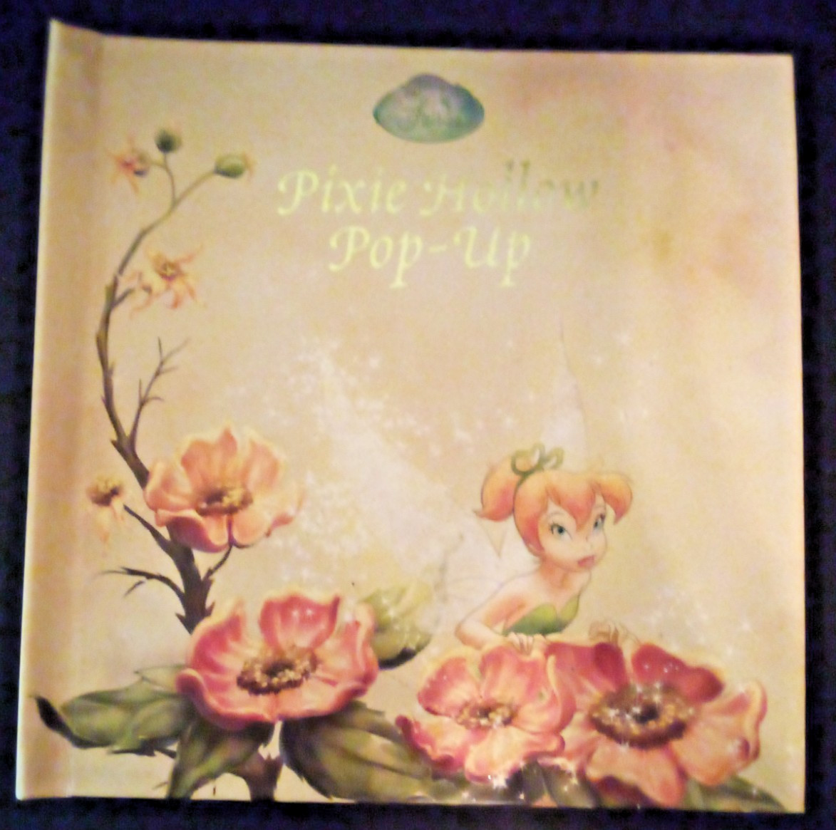 DISNEY PIXIE HOLLOW POP UP BOOK aw