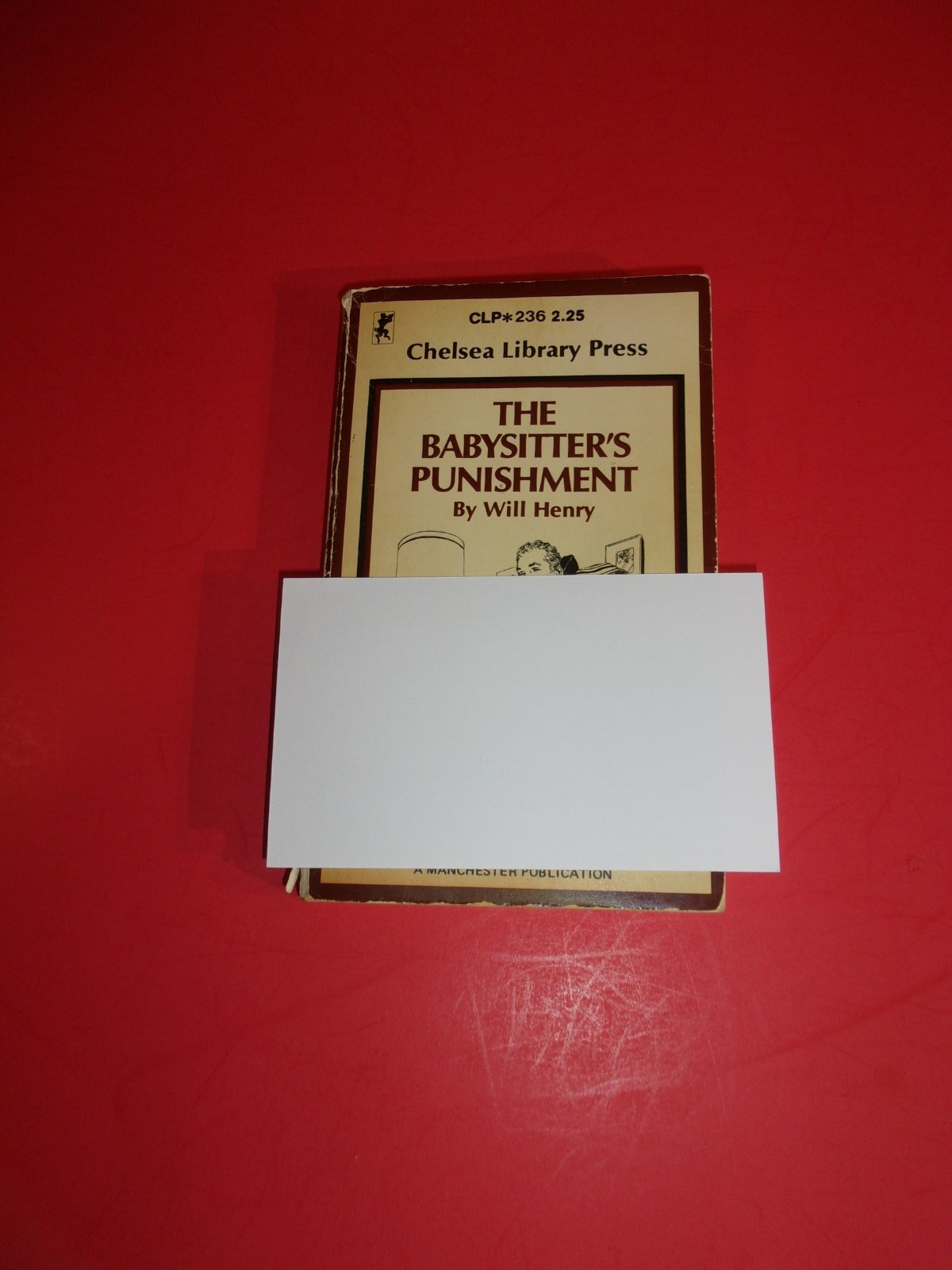 VINTAGE 1975 EROTICA, SMUT, SLEAZE PAPERBACK BOOK, CHELSEA PRESS, 183 PAGES