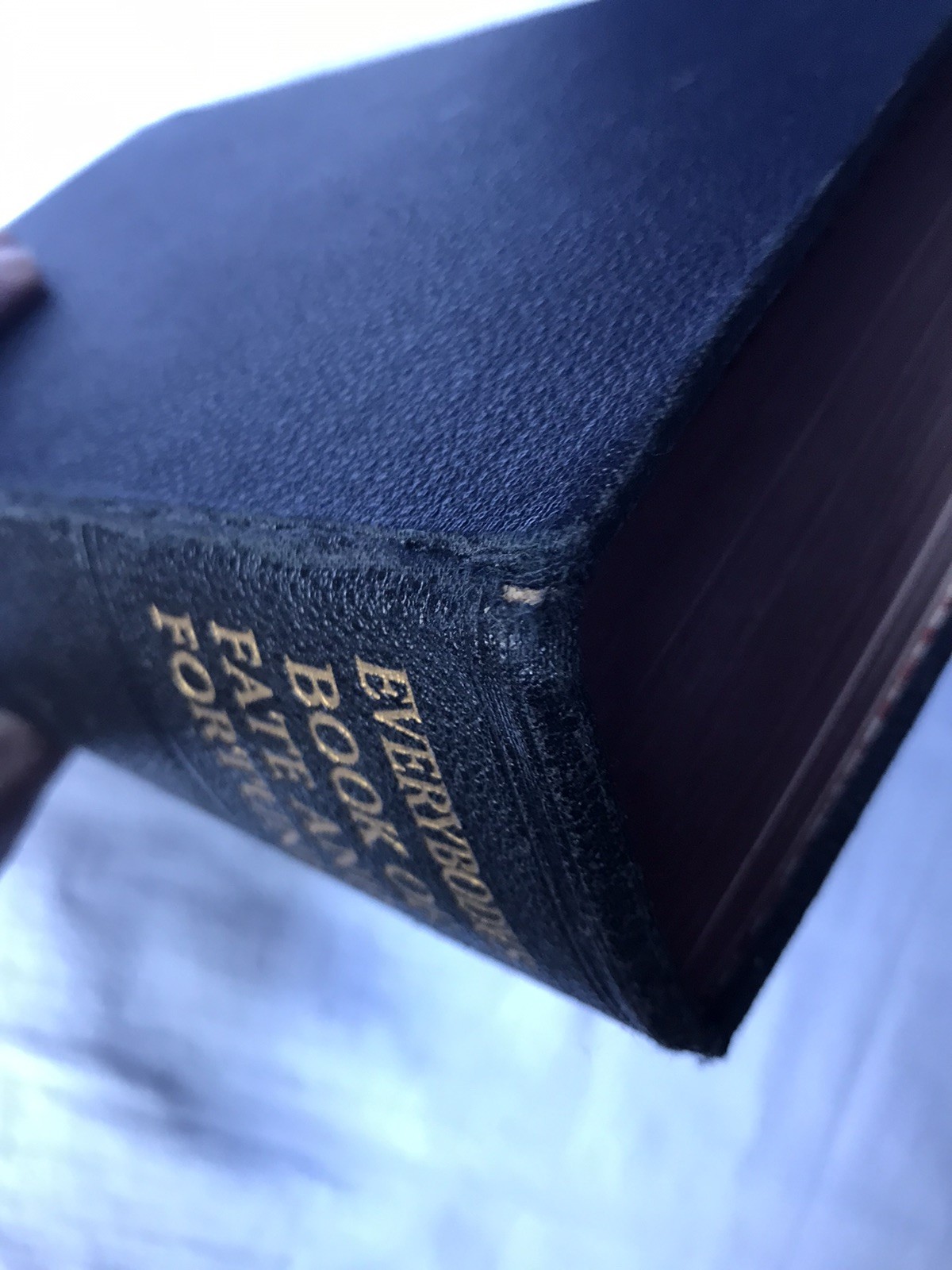 Witchcraft Occult Esoteric Edward Lyndoe Everybody’s Book of Fate and Fortune