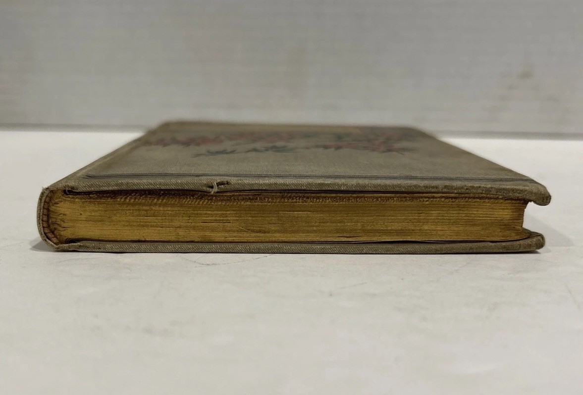 Antique Victorian 1884 “Living Thoughts” Christian Devotional Decorative Book