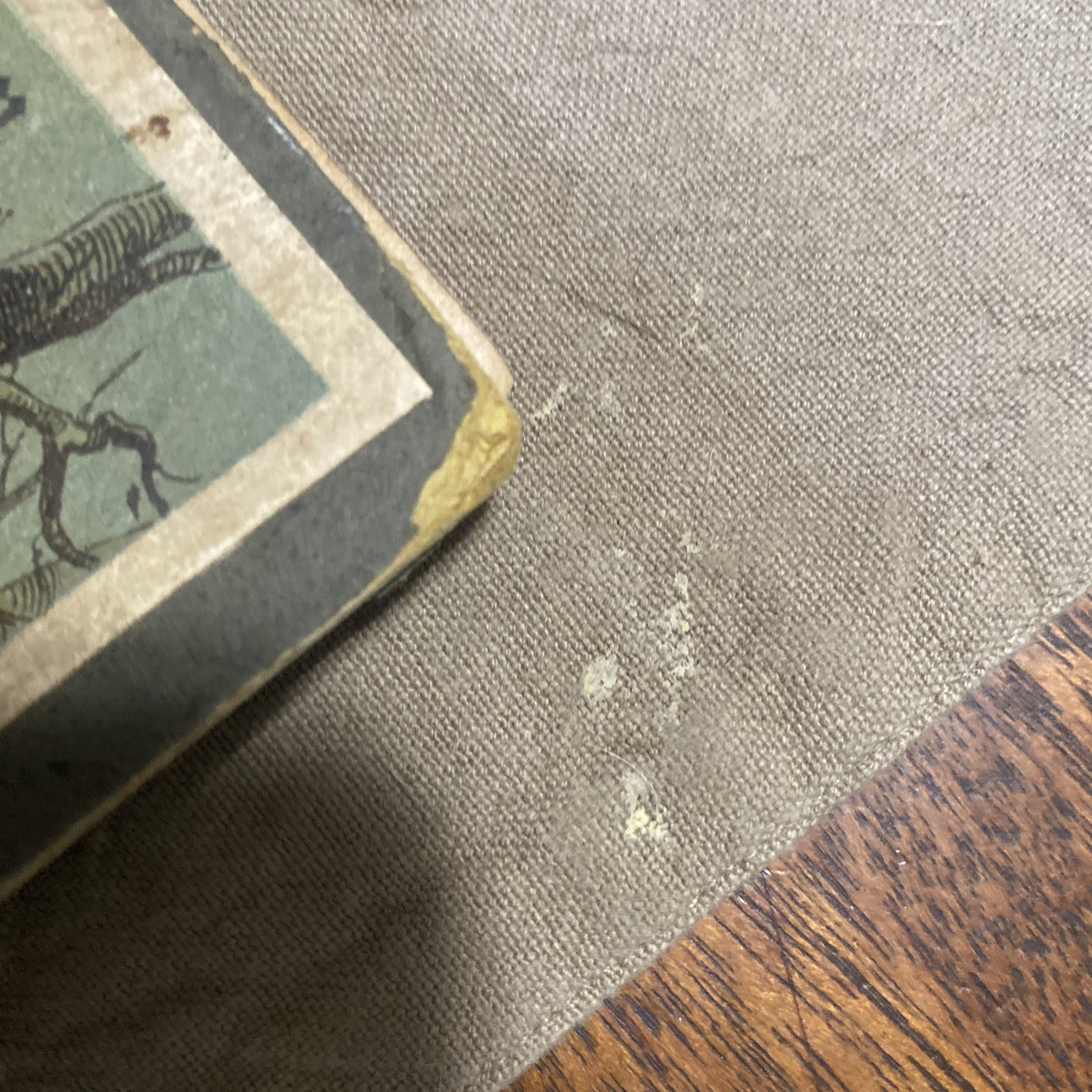 Antique Germán Fairy Tale Anthology 1890’s Neues aus dem Zauberlande