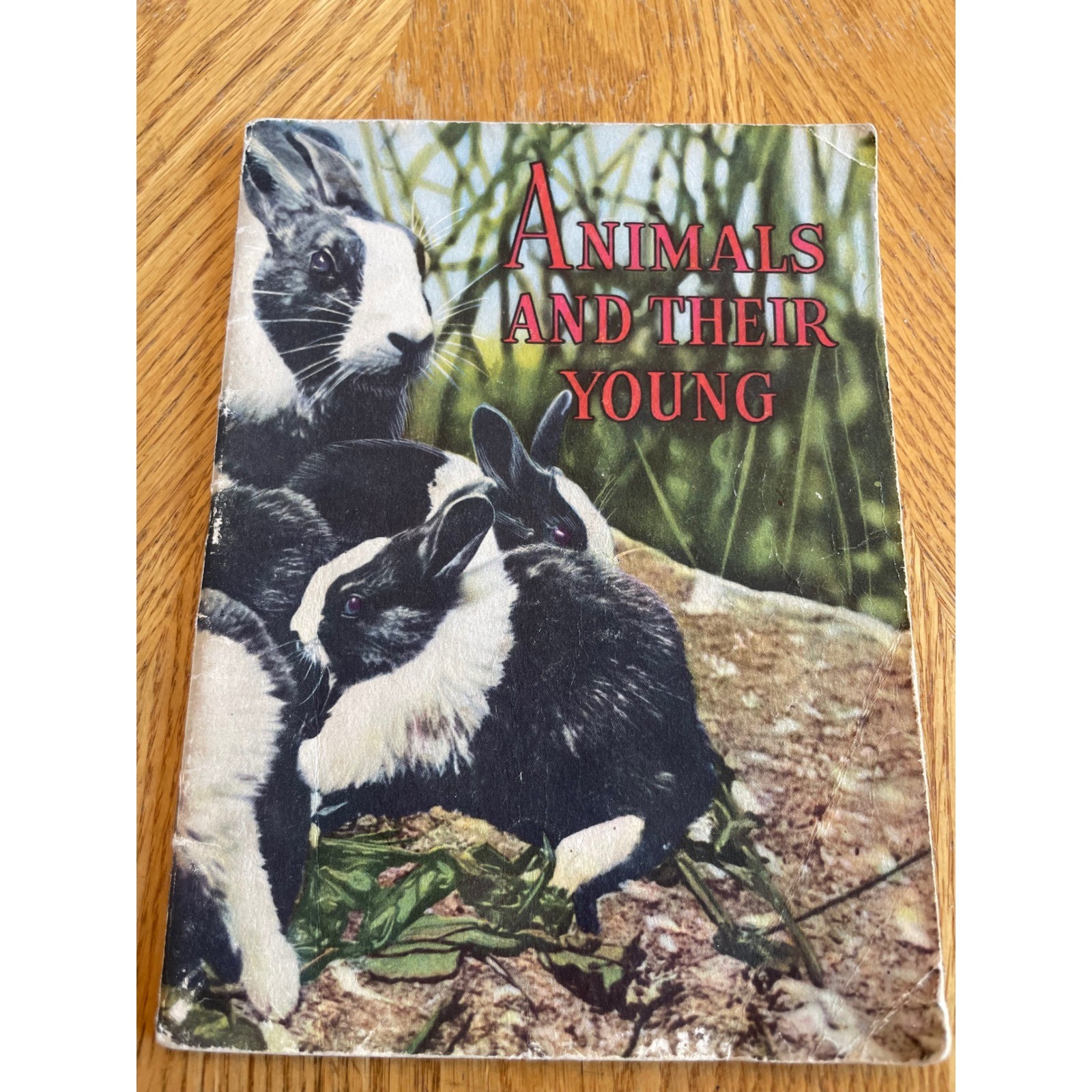 Row Peterson Animals and Their Young Primary Book 1951 Multicolor Good Vintage