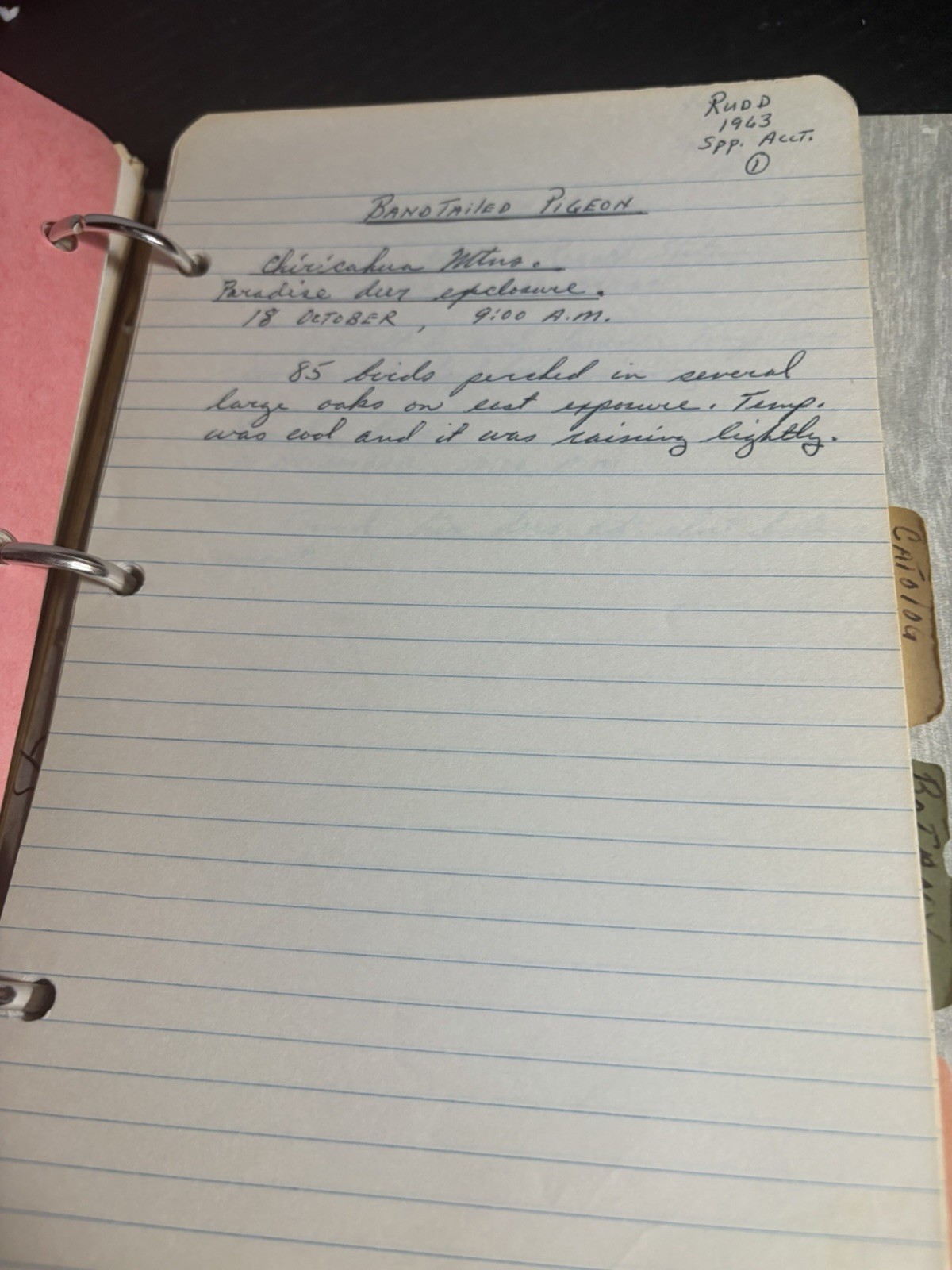 1963 Wildlife Management Field Notes Binder Zoo 260 Arizona Manuscript