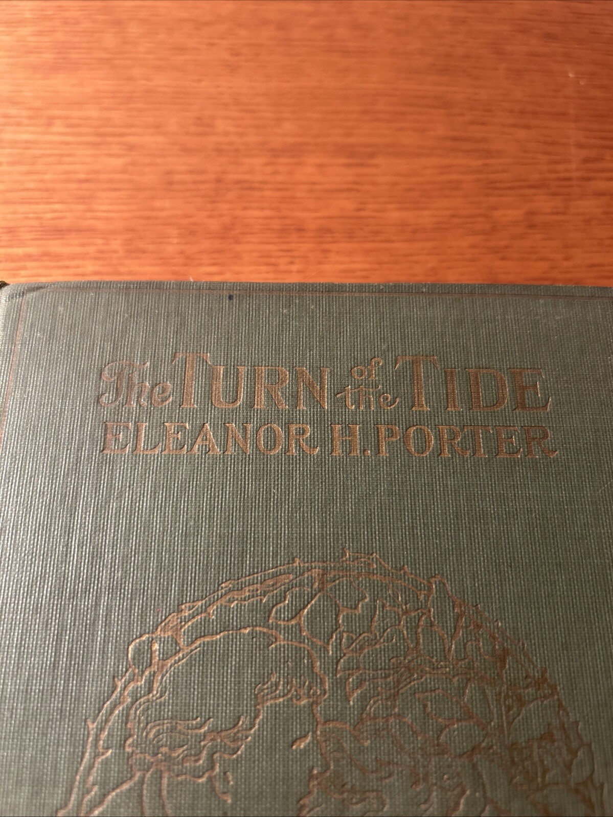 The Turn of the Tide by Eleanor H. Porter 1908