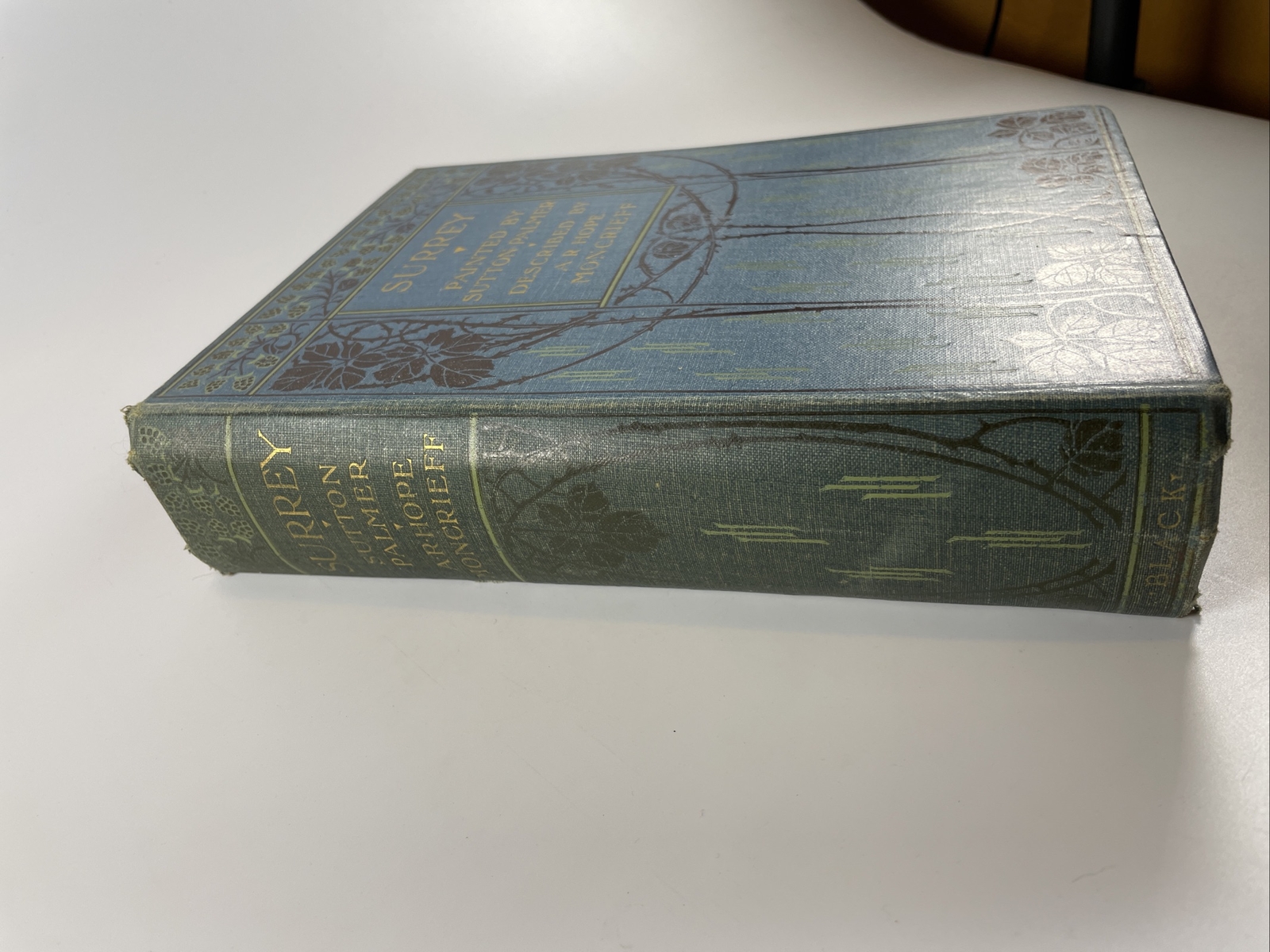 Surrey – Painted by Sutton Palmer, described by A R Hope Moncrieff (1912)