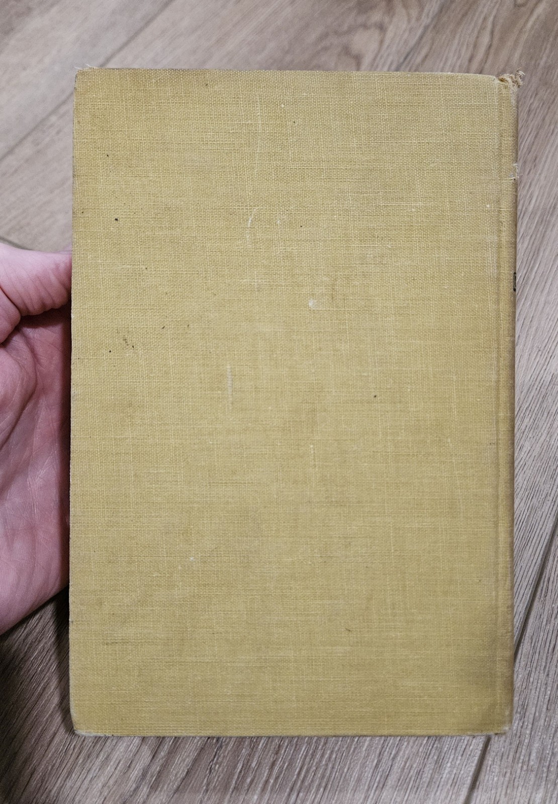 A Stranger Here by Robert Henriques (The Viking Press, 1953 First Ed., HC) NO DJ