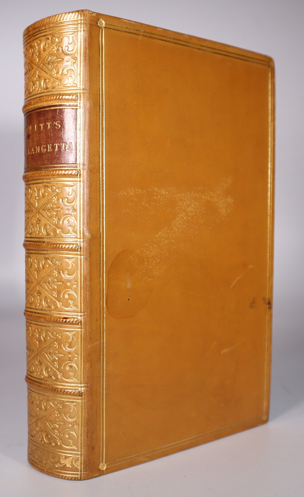 1857 Tallangetta The Squatter’s Home Australian Life by W HOWITT 2 Vols 1st Ed