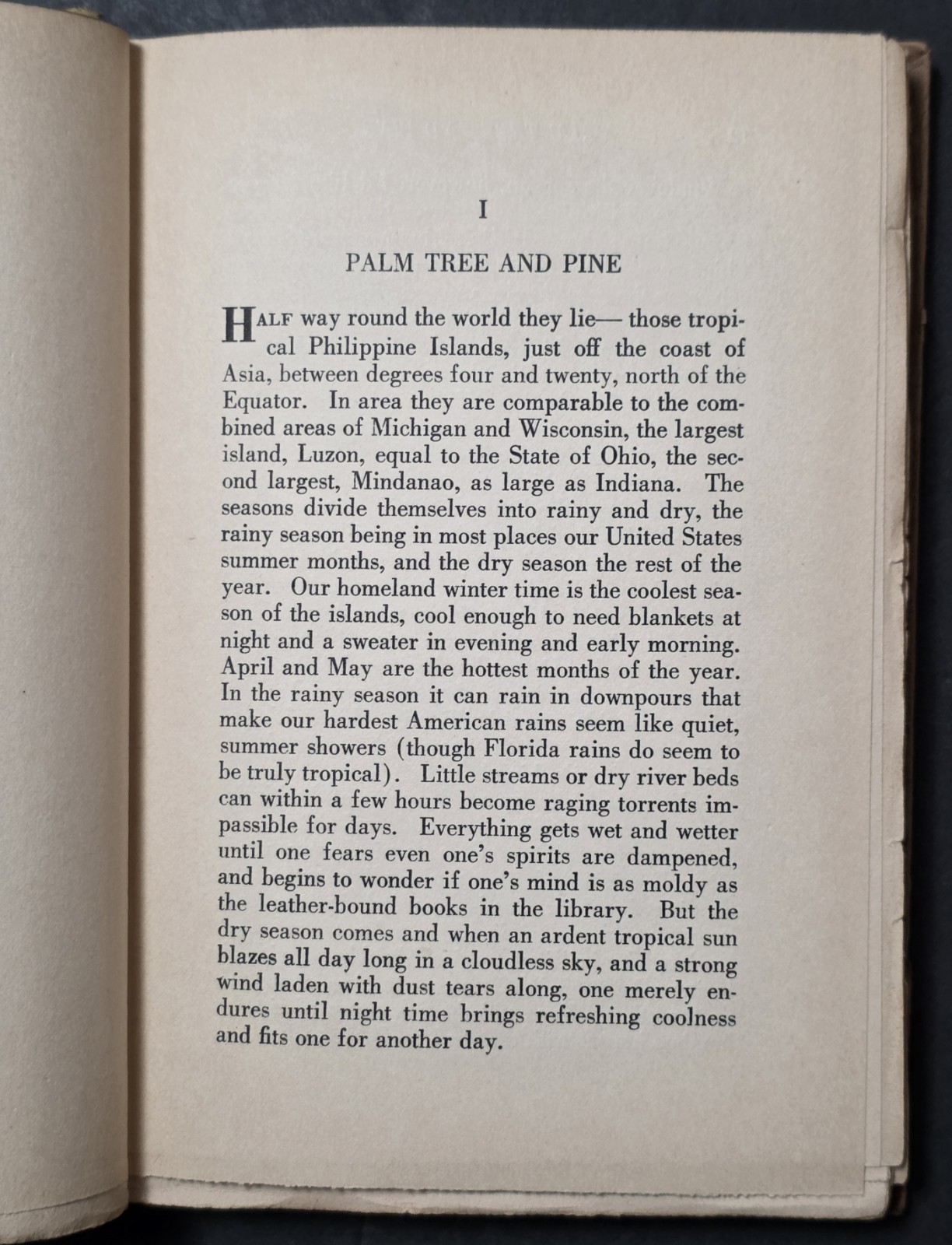Palm Tree And Pine By Edith Eberle Stories Of The Philippine Islands 1927 *HTF*
