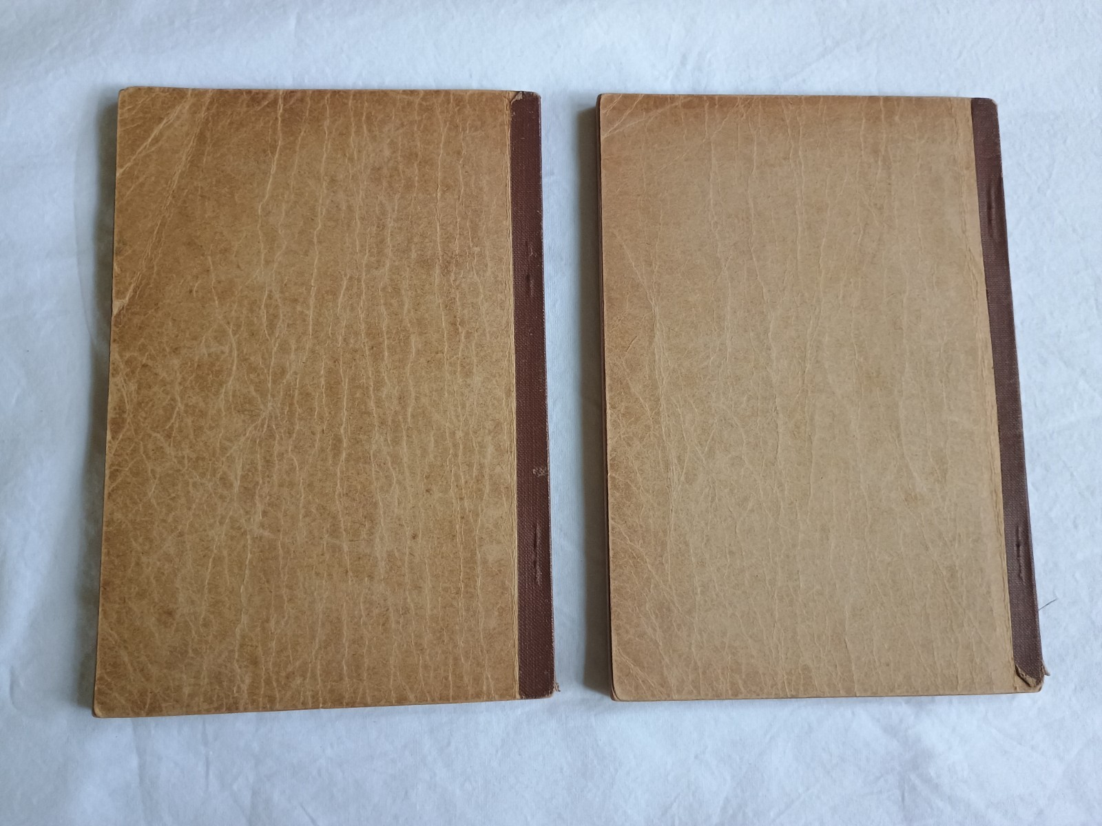 2 Antique 1908 Alexander’s Gospel Songs Hymnbooks Charles M. Alexander Hymnal