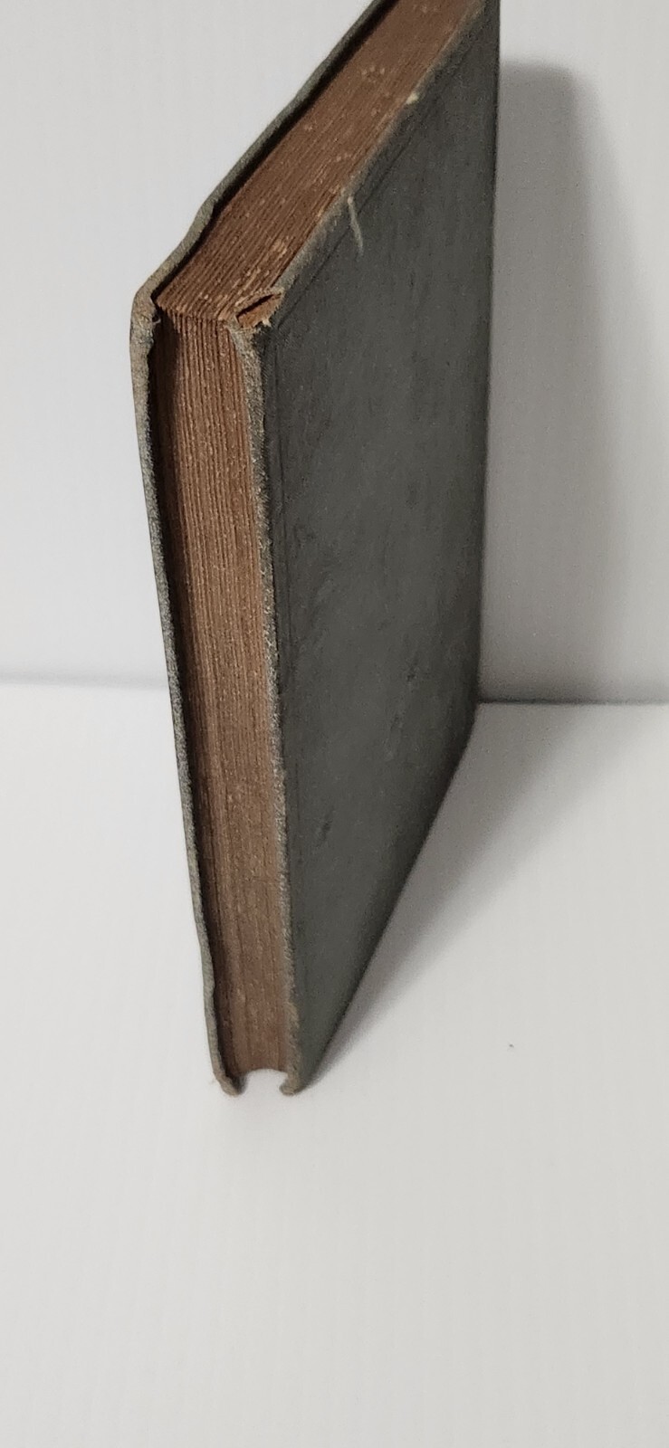 1897 Carpenter’s Geographical Reader-ASIA American Book Company Vintage Antique