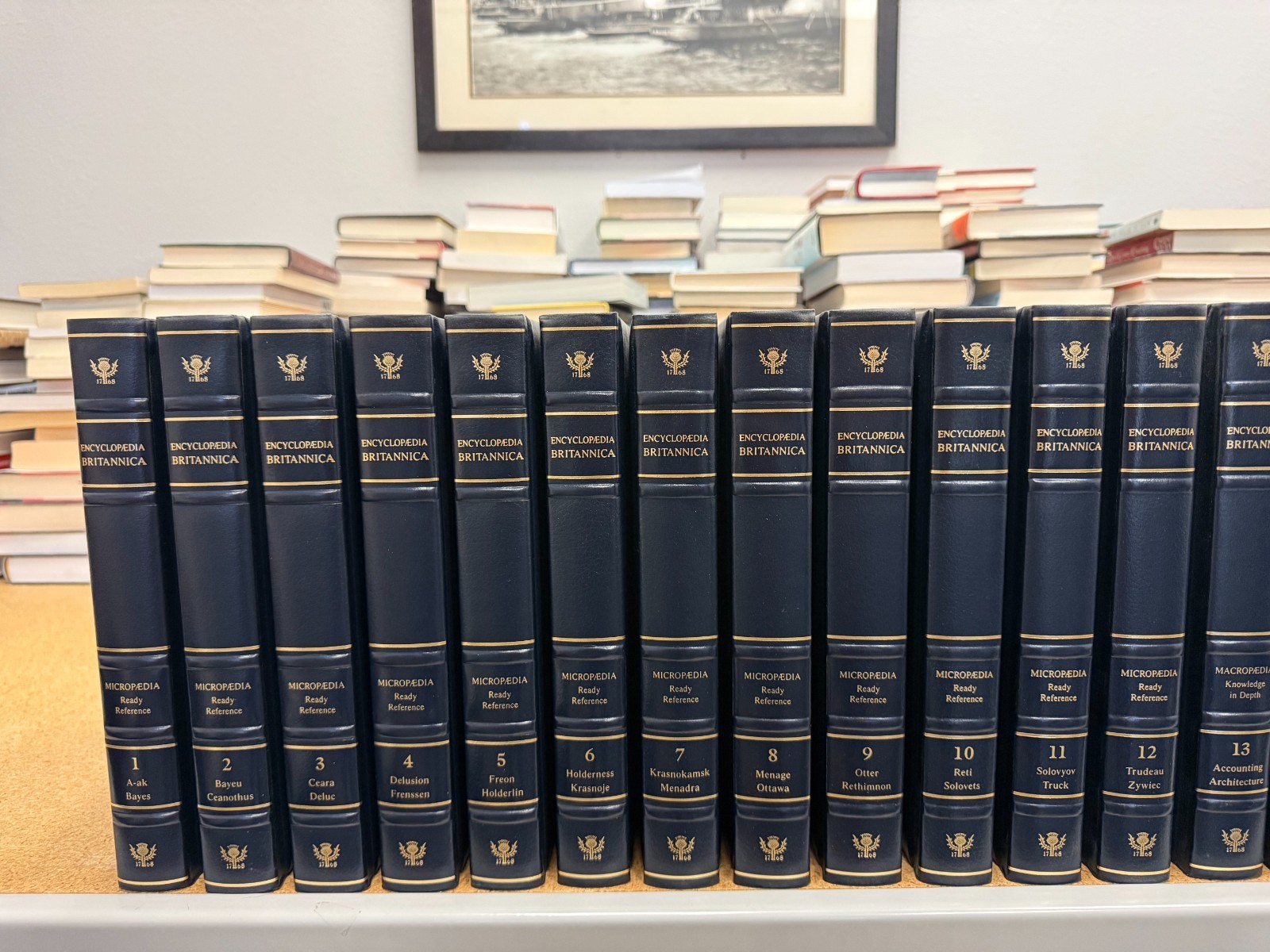 Encyclopedia britannica 15th special edition leather 1995 set
