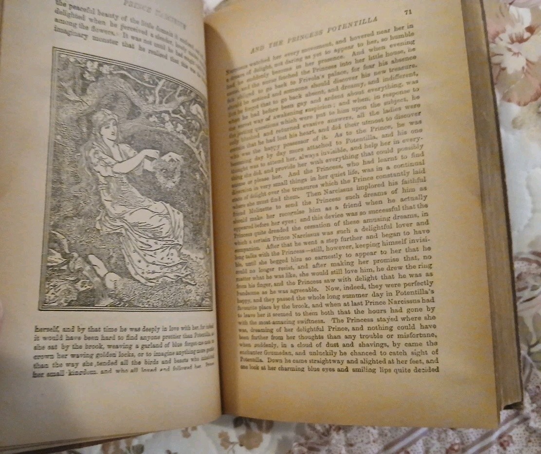 Vintage Green Fairy Book By Andrew Lang Early 1900’s The Companion Books