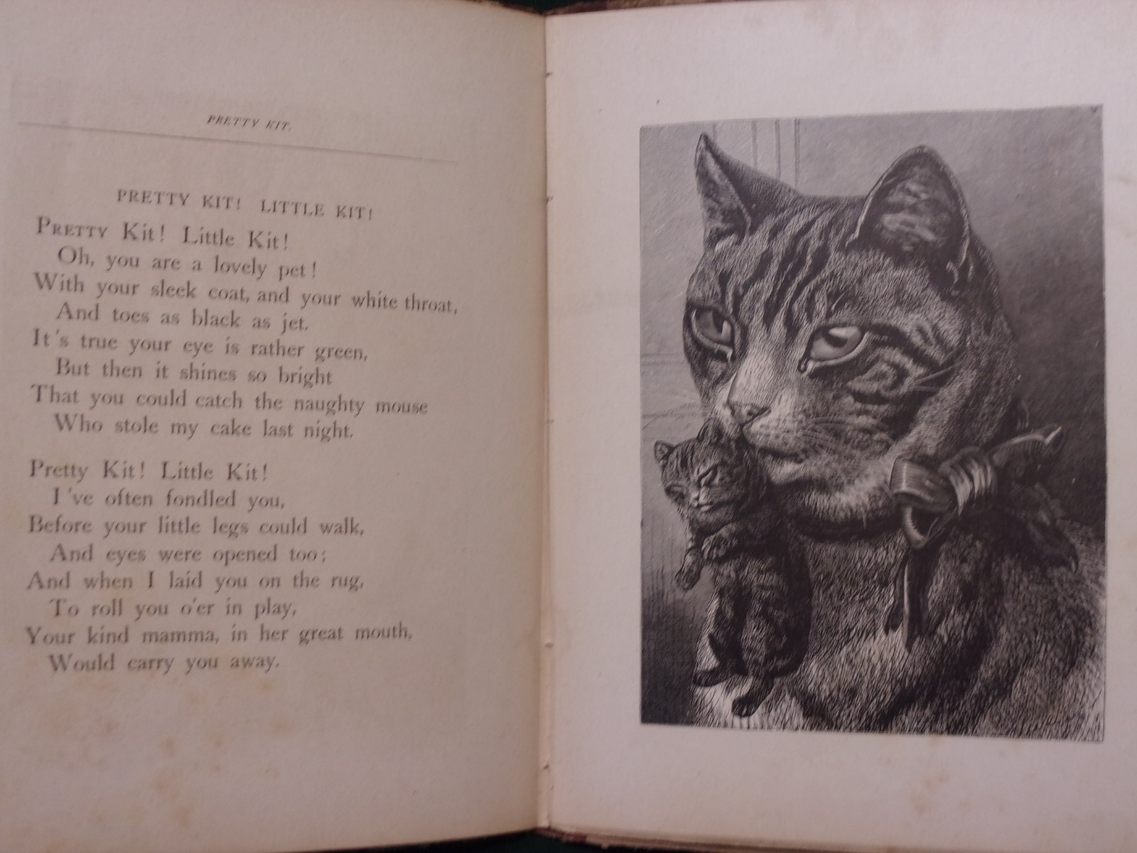 LITTLE LADS AND LASSIES, NY, E.P. Dutton, [1883] 1st Ed. Illus. by Fitzcook, &c.