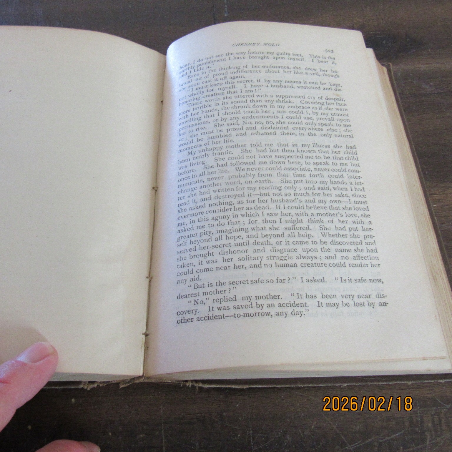 Bleak House Charles Dickens-John B. Alden-1883-Caxton Edition-P Barnard-Antique
