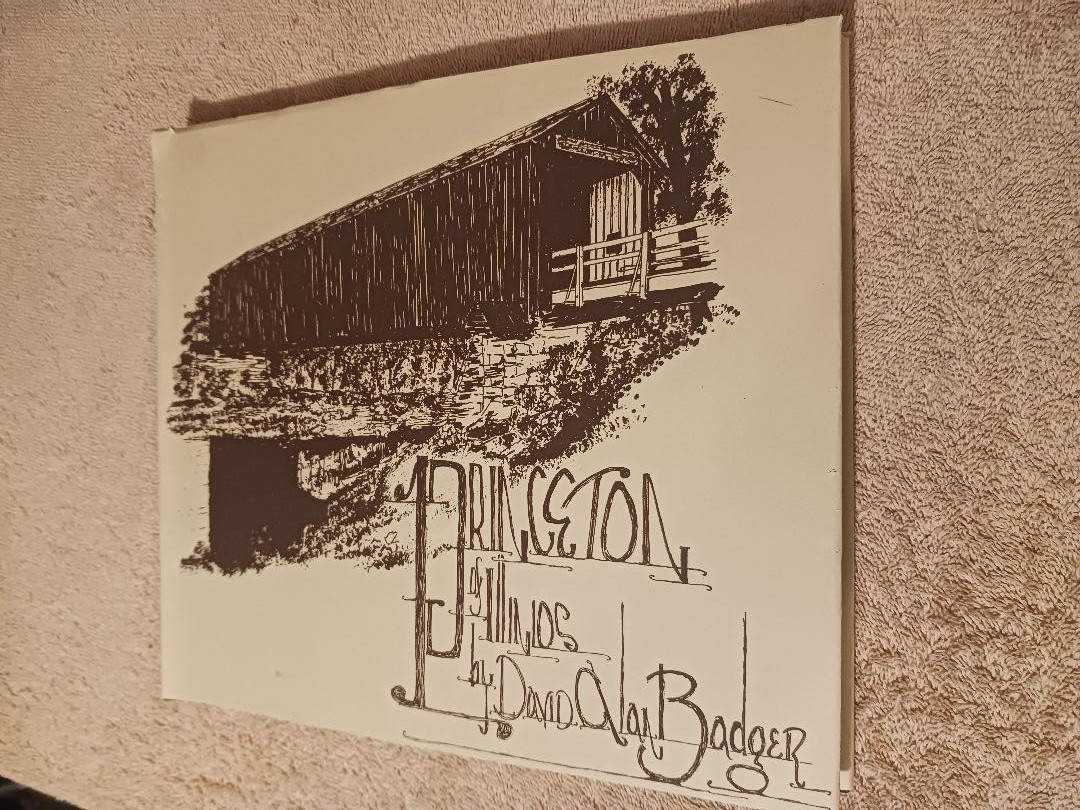 Princeton of Illinois David Alan Badger Art architecture history sketches houses