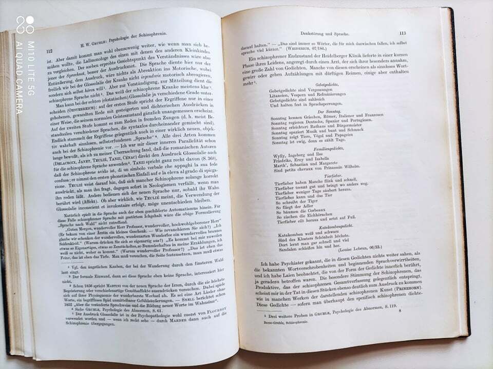 Rare, Rare Basic Work, Psychology of Schyzophrenia (Berze-Gruhle) (1929)