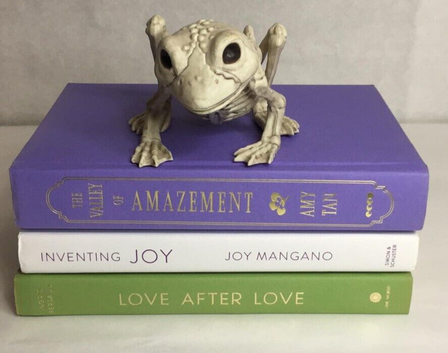 Lot of 3 HC Books – GENDERQUEER Pride Flag Shades LGBTQ+ Decor Display Props