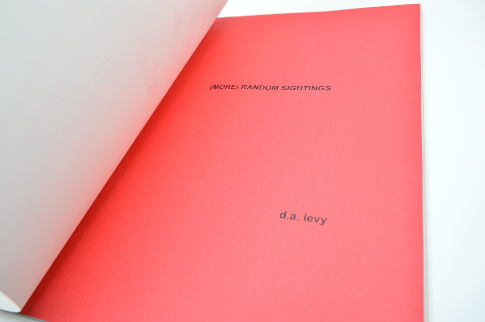 (More) Random Sightings, d. a. levy, 1999, Limited Ed. of 65, Concrete Poetry