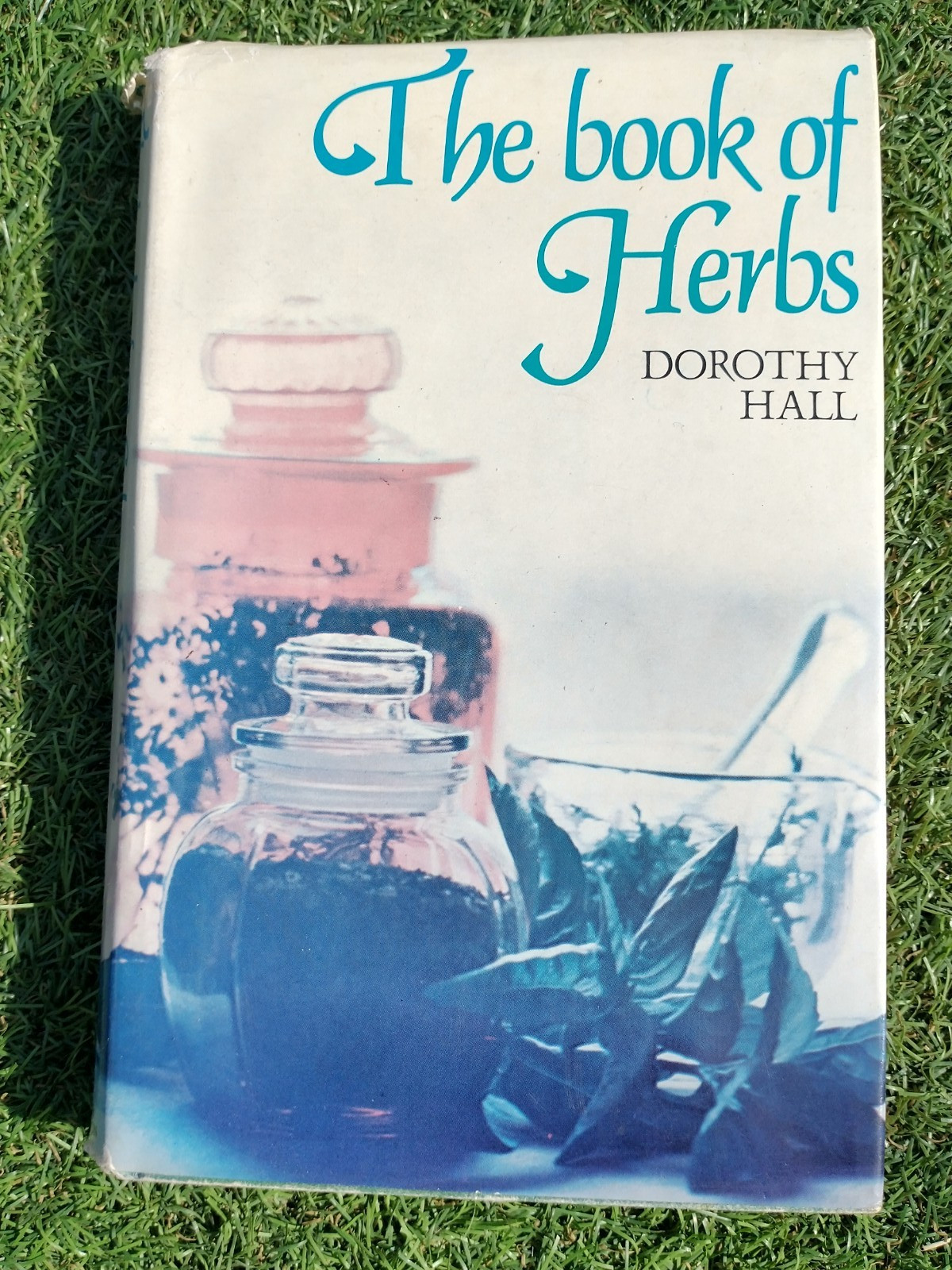 The Book of Herbs by Dorothy Hall